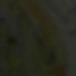 Meet your Posher, Koli